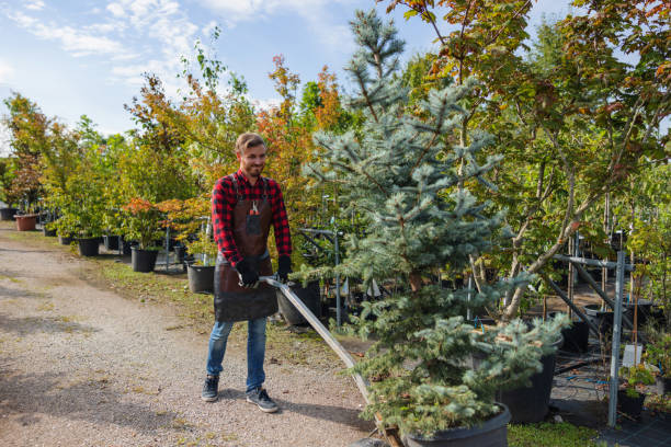 Best Landscape Design and Installation  in Shelburne Falls, MA